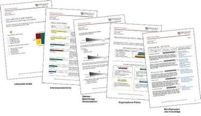 Birkman Assessment w/ Coaching Debrief